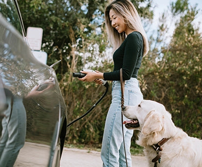 Top Tips for Tesla Owners with Pets